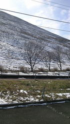 大室山　黒と白のコラボ